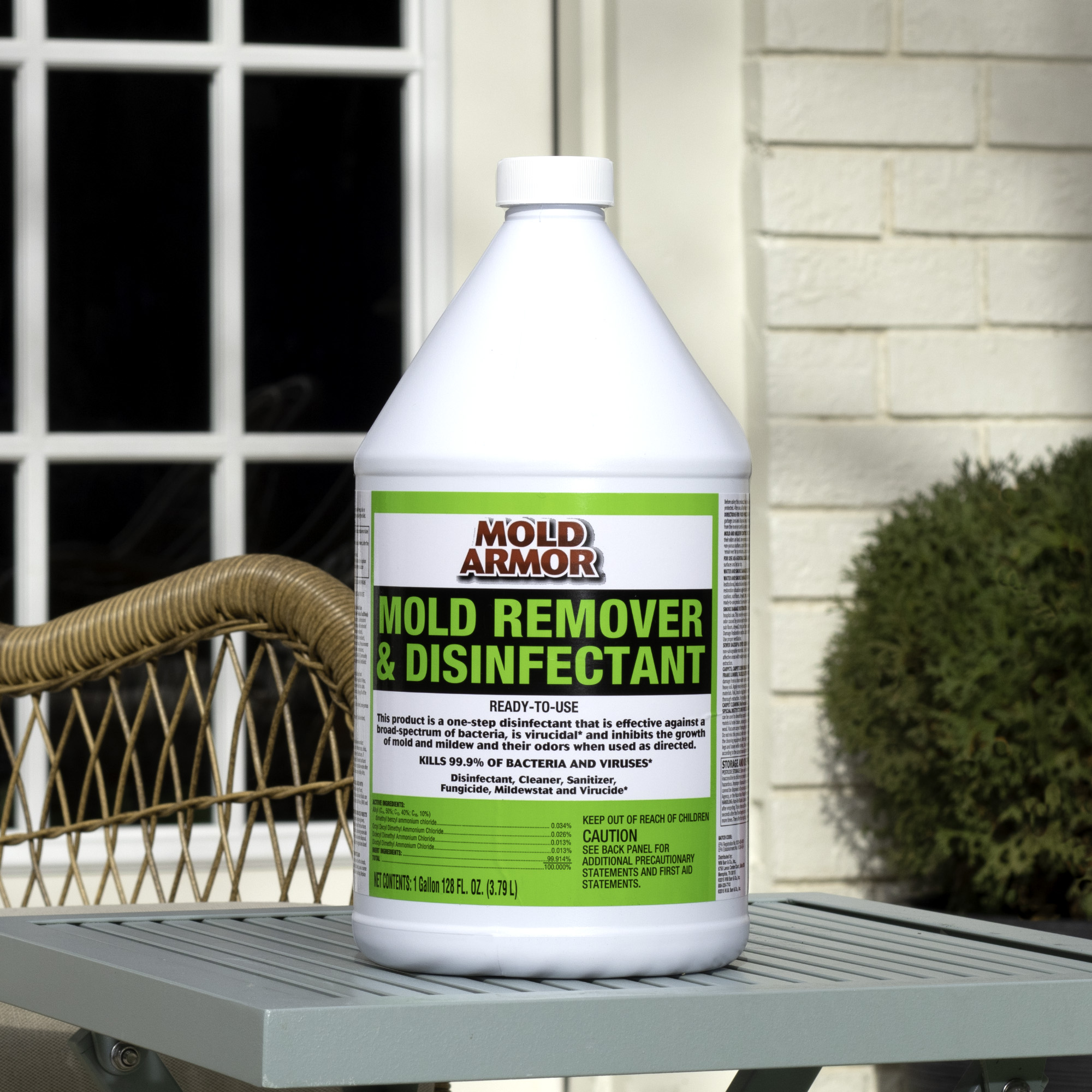 Mold Armor Rapid Clean Remediation Disinfectant Cleaner — 1-Gallon Plastic  Pouring Container, Model# FG591