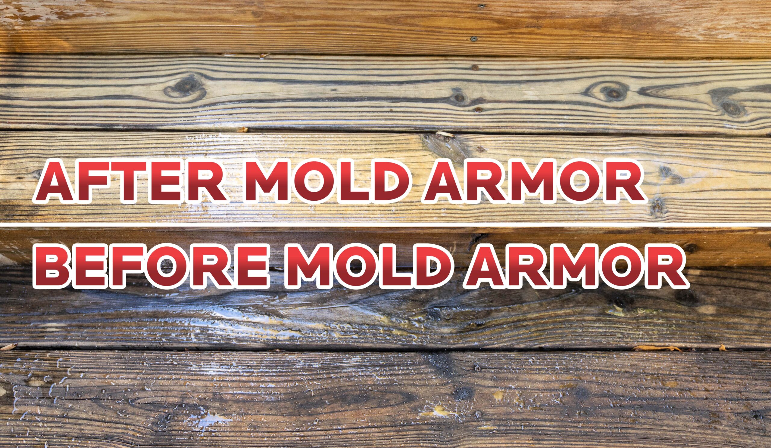 Mold test result vs Mold Armor Test Kit : r/Mold