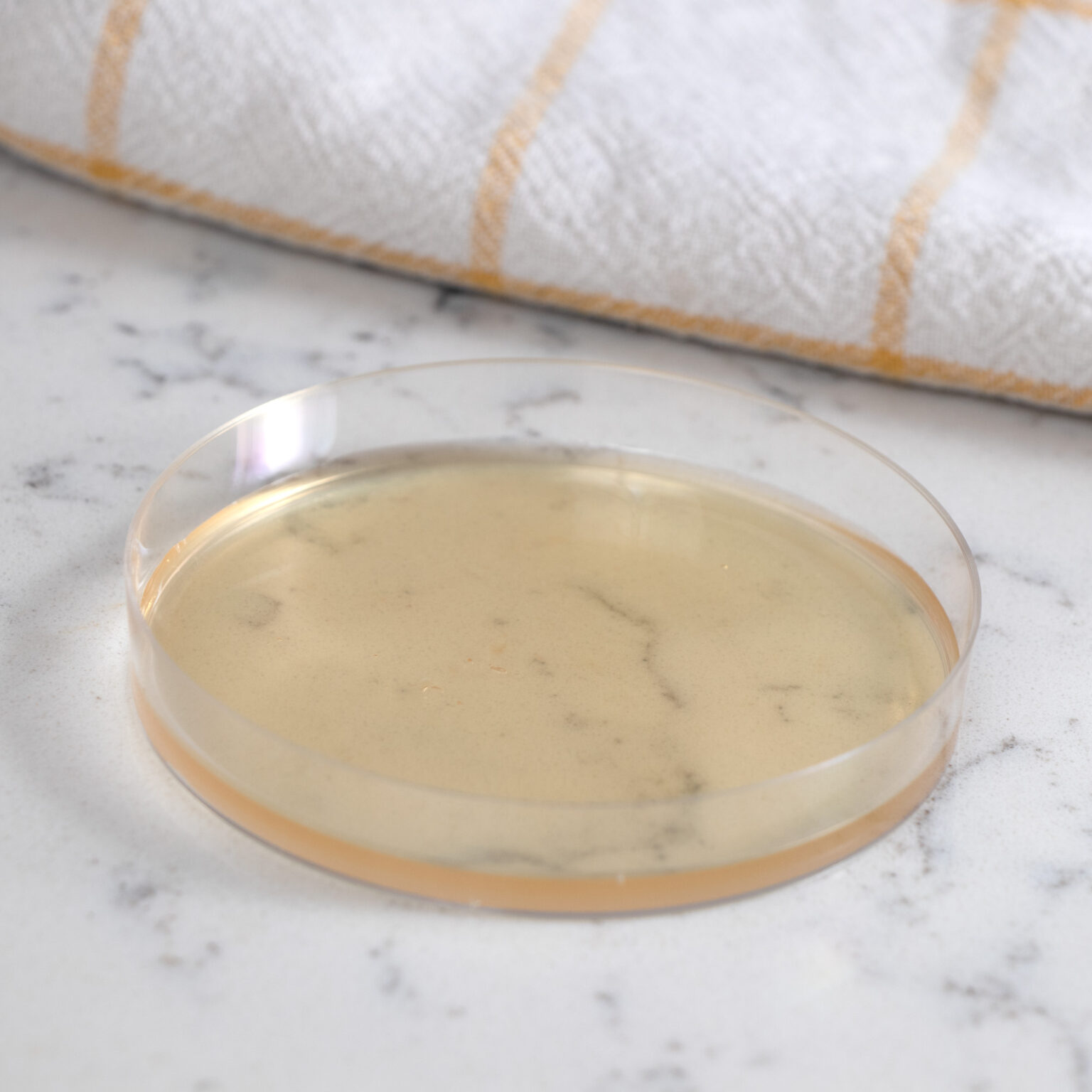 MOLD ARMOR Do It Yourself Mold Test Kit Mold Armor