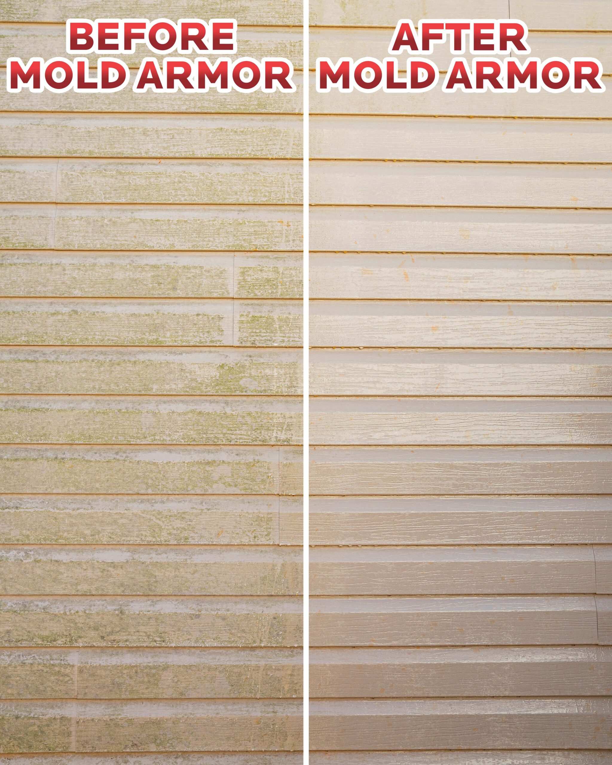 MOLD ARMOR 64 oz. E-Z House Wash - Brick, Concrete, Trim & Siding Cleaner