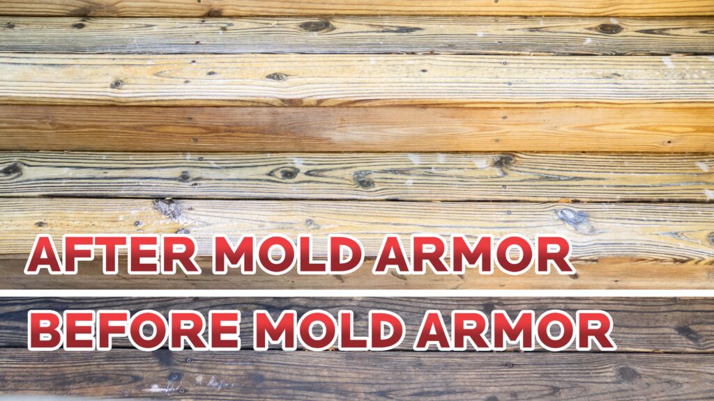 Mold Armor EZ Deck Wash for Wood Surfaces, Composite Deck & Fence, 64