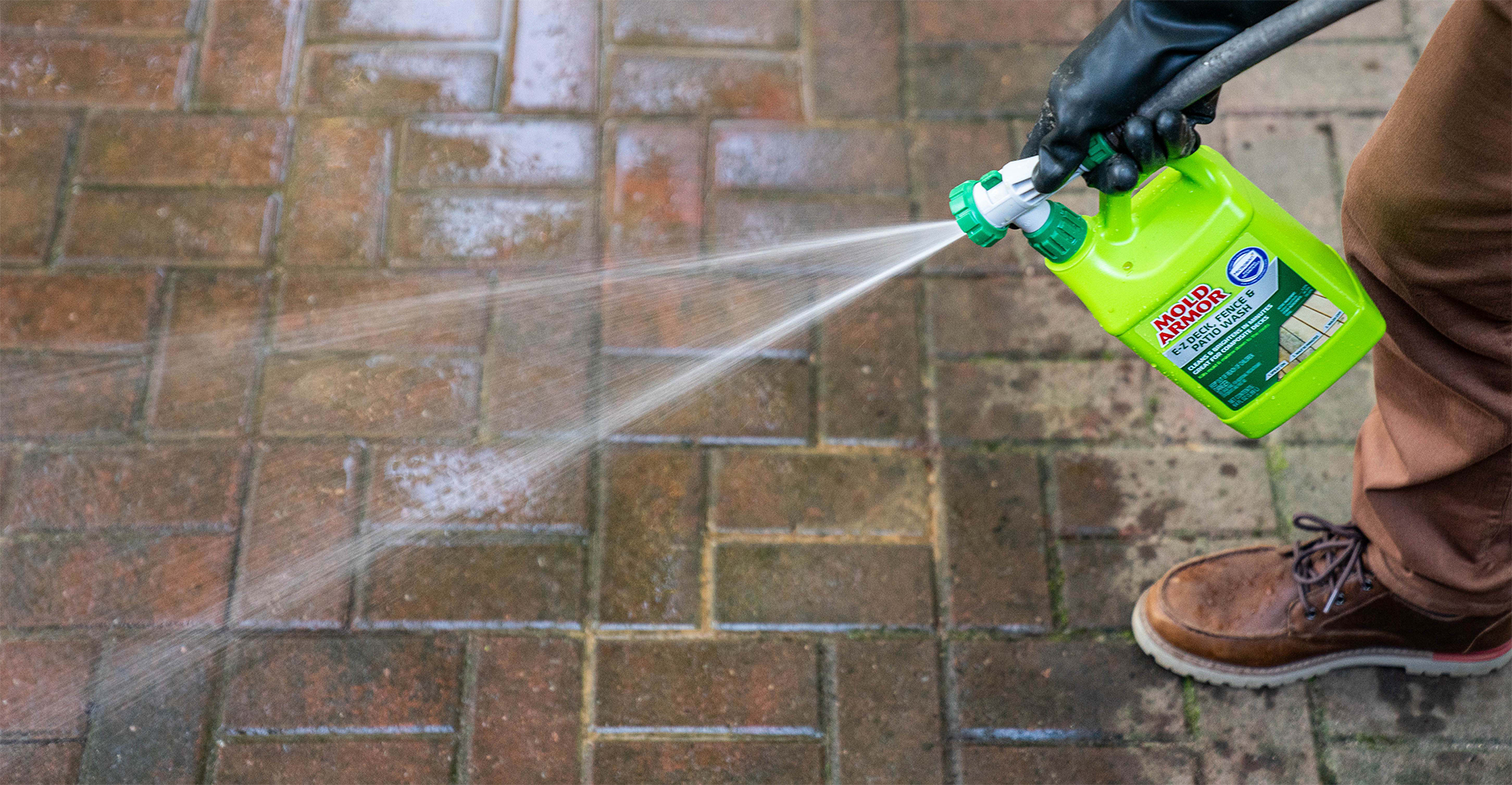 Mold Armor Test Kit Mold Armor